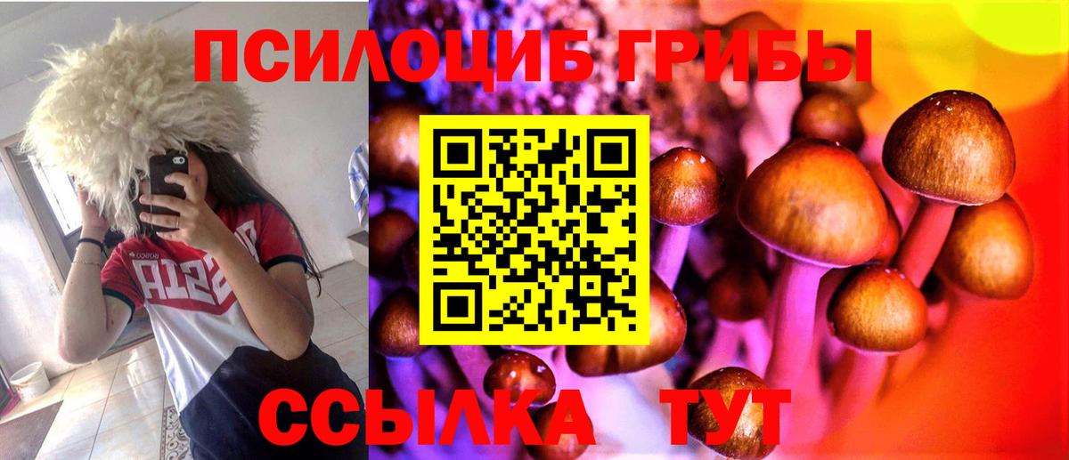 Псилоцибиновые грибы Magic Shrooms  Галлюциногенные грибы прущие грибы  Вход с VPN  Строитель 