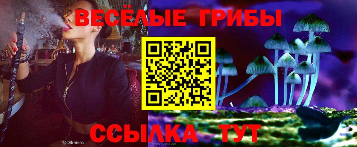 Псилоцибиновые грибы Cubensis Строитель